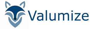 Valumize Logo